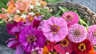 Getting Honey Bees for Our Homestead | Farm Stand Plans for Spring 2026 🐝🌸