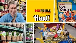 No Frills Haul! Grocery Shopping at No Frills!