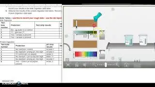 Bio B U3   Human Digestion Milk results