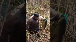 KPK's Most Dangerous Pathan Hand fish Hunter🐠#fishing #ytshorts #reels