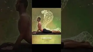 Cobra pose snake pose #yoga #yogalife
