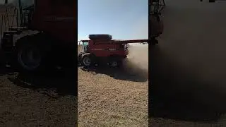 it's a bean day for the boys #feedtheworld #tractor #farmer #farming #harvest #2023