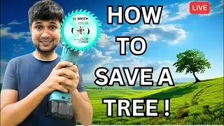 How to save a tree, from tree guard Trees plants info is live