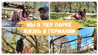 | Мы в TierParke🦚 | Супер место для отдыха всей семьи | Поздние переселенцы 2023| Bayreuth |