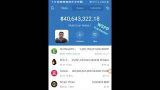 $40,643,322 18 Wolf Safe Poor People Price&nbsp;WSPP Withdrawl Full Review Scam Or Legal 100%