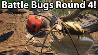 Battle Bugs ROUND 4! Lady Bug vs Orb Weaver! Grounded Gameplay!