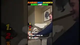 RANKING BEST MOMENTS HANDS AND DOGS👀🐶