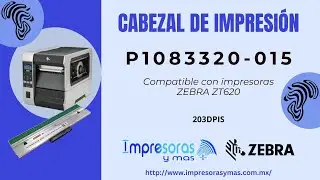 Cabezal de Impresion ZEBRA para ZT620 203Dpis P1083320-015
