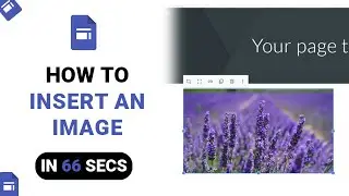 How to Insert An Image on Google Sites [NEW]