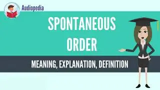 What Is SPONTANEOUS ORDER? SPONTANEOUS ORDER Definition & Meaning