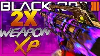 DOUBLE WEAPON XP For 