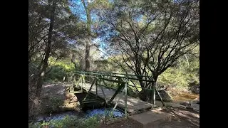 Charles Darwin Walk - Sydney