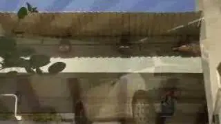 Solara Patio Cover