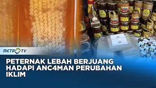 Perubahan Iklim Jadi Anc4man Ekosistem Lebah Madu Bosnia
