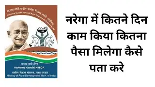 नरेगा में कितने दिन काम किया कितना पैसा मिलेगा कैसे पता करे | Job Card