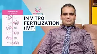 What is IVF? Step-by-Step Guide. IVF के बारे में विस्तृत जानकारी। Dr Pranay Shah - Wellspring IVF
