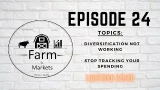 Episode 24: Diversification not working, Stop tracking your spending, Lightning Round.