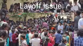 # பணிநீக்கம் பிரச்சினை | # Layoff issue | IT Employees( India )| Labour Office| Protest|