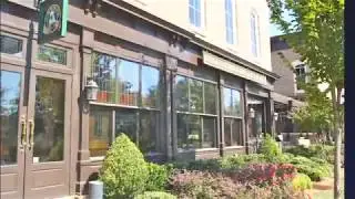 Milton and Alpharetta GA Town Tour by Joanne Curtin.mov