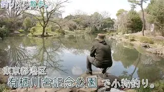 【小物釣り】東京都港区 有栖川宮記念公園でセレブな魚を小物釣り。【淡水】