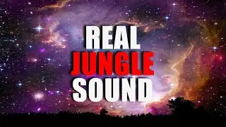 The Name, the Style, and the Man Behind the Reason: tuClawz - Into My Jungle