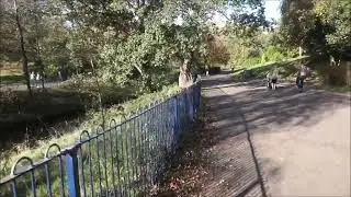 An Autumn Walk Along the River in Sefton Park Liverpool 2024