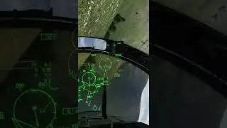#dcs OH THATS A TREE