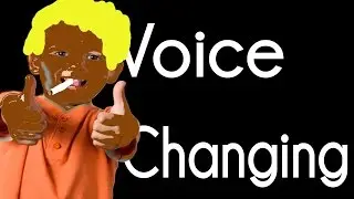 Voice Changing on Skype