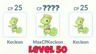 First Ever LEVEL 50 KECLEON vs Leader Sierra 😳 (Pokemon Go)