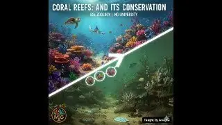 Coral and Coral Reefs &ndash; Structure, Types & Conservation | B.Sc Zoology 2nd Year