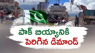 India Export Ban Sparks Surge in Global Demand For Pakistan Rice | Orders from US & UK
