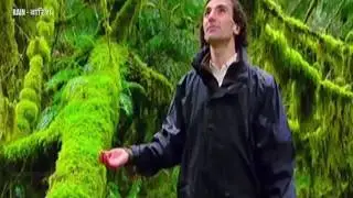 Secrets of The Earth   Rain    Hindi Documentary HD
