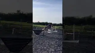 Flashy 😍🥰 #edit #horse