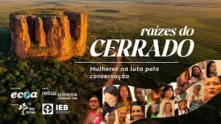 SHORT FILM | Roots of the Cerrado: Women Fighting for Conservation