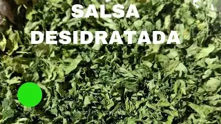 Como Desidratar Salsinha - Sem Forno - How to Dehydrate Parsley Without Oven