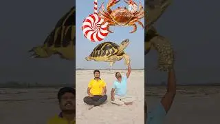 Vfx magic funny to wow Cake twist 😜🤪#funny #shorts #trending #news 🤓