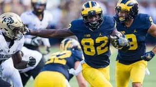Amara Darboh Career Highlights