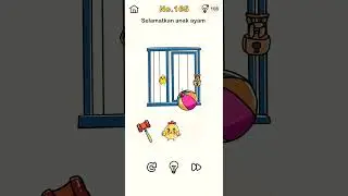 BRAIN OUT LEVEL 165 SELAMATKAN ANAK AYAM