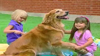 Barney & Friends: Rabbits/Ducks and Fish (2006)