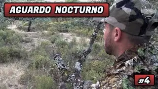AGUARDO NOCTURNO #4| EULALIO CANTERO