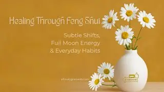 Subtle Shifts; Full Moon Energy & Everyday Habits