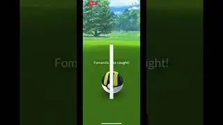 NEW SHINIES AND SHINY TOGEPI TRADE!!!! SHUNDO??????