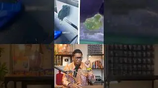 WEIRDEST Fish in the Ocean