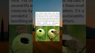 Wimbledon&rsquo;s Tennis Balls Helping to Protect Harvest Mice