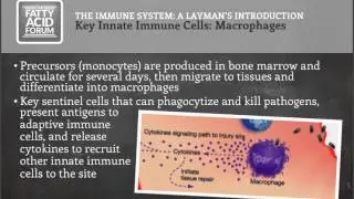 The Immune System  A Layman&rsquo;s Introduction with Dr  Barry Bradford