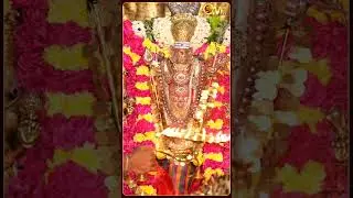 Om Thanigai Muruga Potri Om Sura Potri.. | Murugan | Shorts | OM TV