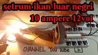 Setrum elektronik PAC‼️ setrum ikan luar negri