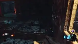 Call of duty zombie slaughter