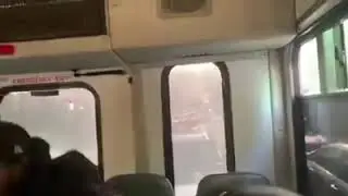 Brooklyn Dollar Van Driver Runs from cops with passengers