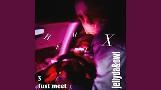 Just meet (feat. owl)